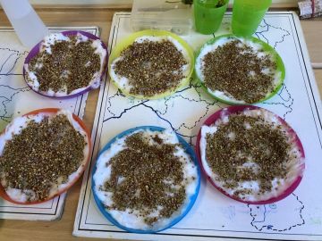 Die Kresse für die Jause!